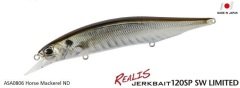 Duo Realis Jerkbait 120SP SW ASA0806 / Horse Mackerel ND