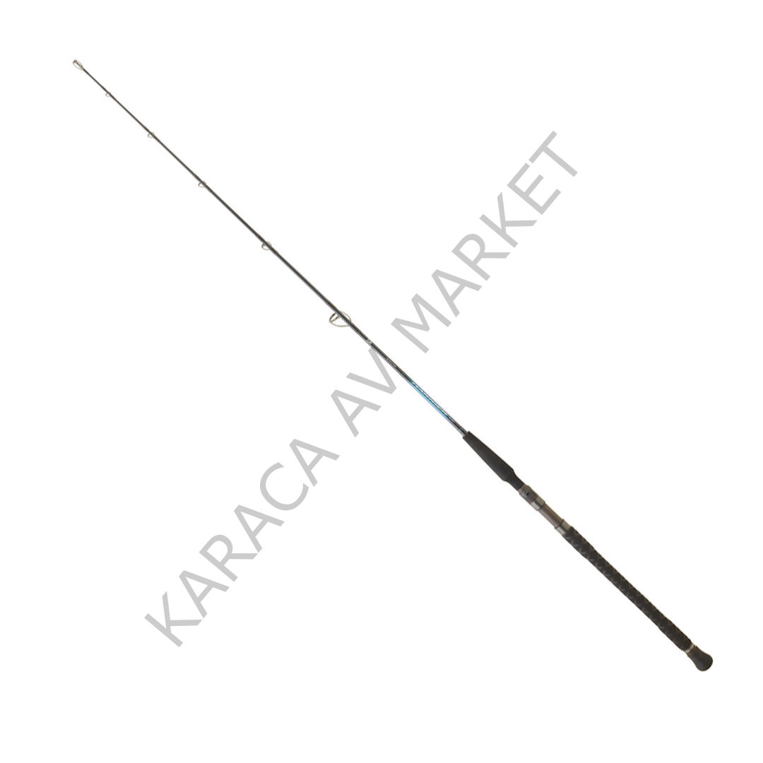 DAIWA HARRIER JIGGING 1.91M TEK PARÇA 90-210GR JIG KAMIŞ